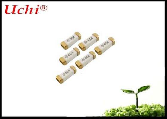 迅速作用のセラミックファイューズ 2A 250V